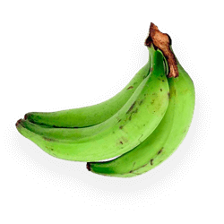 Banana Nanica Verde